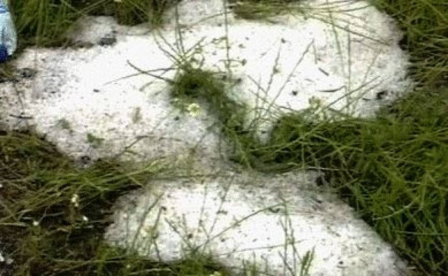 Βοιωτία: Χαλάζι κατέστρεψε καλλιέργειες