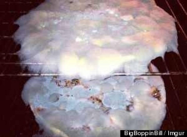 ΣΟΚ: Άφησε 2 πίτσες εκτός ψυγείου για εβδομάδες - Δείτε πώς έγιναν