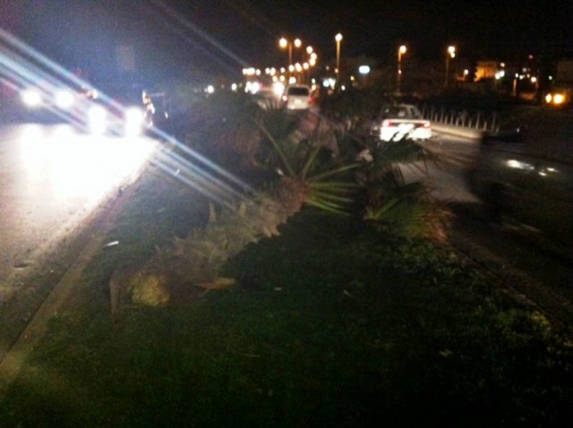 Δύο ελαφρά τραυματίες στο Ηράκλειο μετά από σύγκρουση με... φοίνικα...