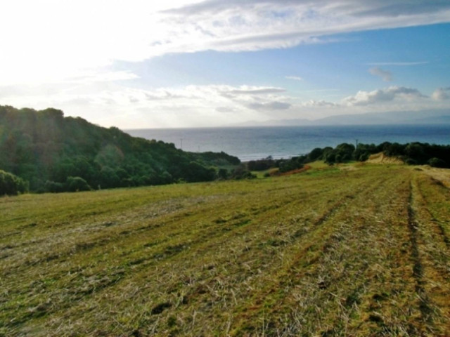 Διαψεύδει η κυβέρνηση δημοσιεύματα για φορολόγηση αγροτικών εκτάσεων