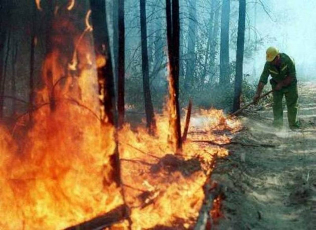 Έδωσαν τη δασοπυρόσβεση σε εταιρία υπό πτώχευση
