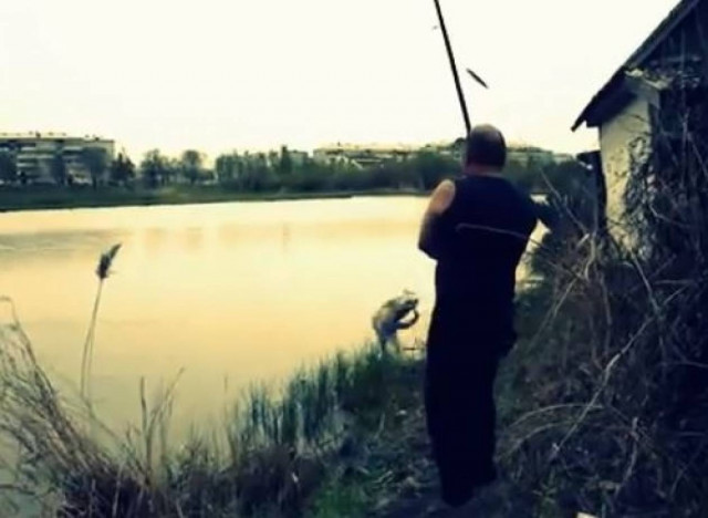 Γάτα κλέβει το ψάρι από τον ψαρά!