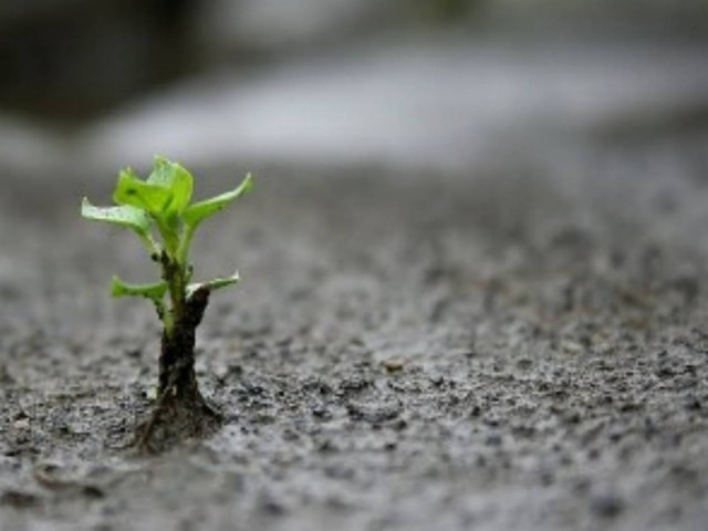 Ποια είναι τελικά τα 7 θαύματα του κόσμου;Αξίζει να διαβαστεί!