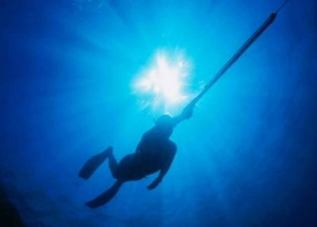 Τραυμάτισε με ψαροντούφεκο τον αδερφό της