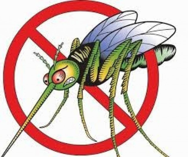 Δείτε πως θα ξεφορτωθείτε τα κουνούπια