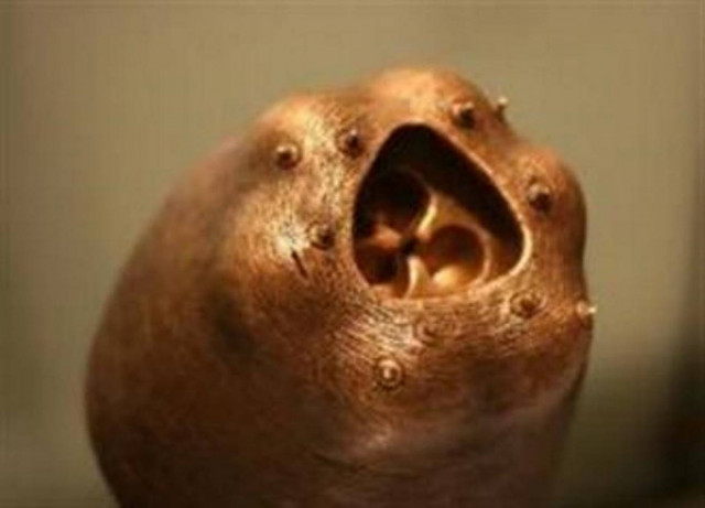 Δείτε: Τρία τέρατα που ζουν μέσα στο ανθρώπινο σώμα