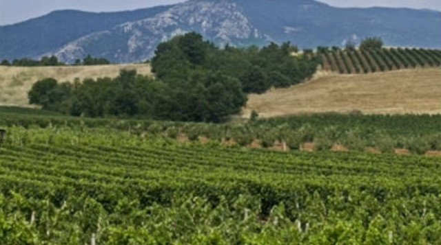 Πλατανιάς Χανίων: Η περιοχή που έκρυβε ένα μεγάλο μυστικό