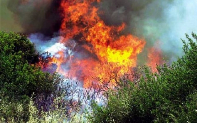 Συνελήφθη 56χρονος για εμπρησμό στον Ωρωπό