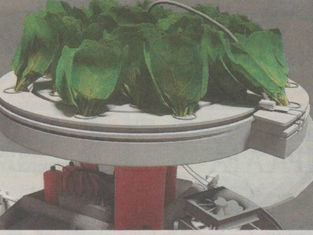 Απίστευτο: Ελληνικό σπανάκι στον Άρη!