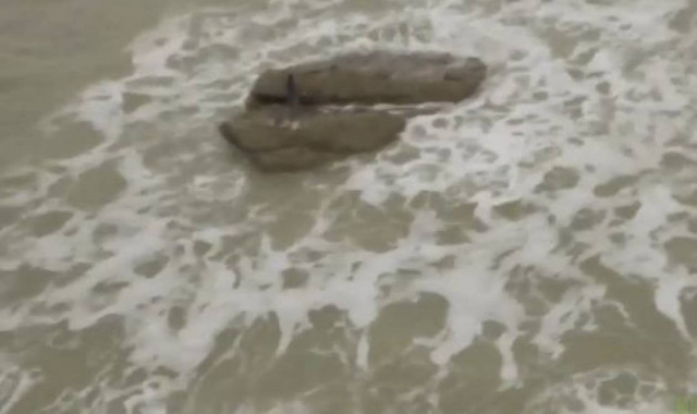 Σάλος με βίντεο που καταγράφει πλάσμα που μοιάζει με γοργόνα!