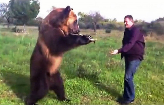Απίστευτο βίντεο! Αρκούδα... ο καλύτερος φίλος του ανθρώπου...