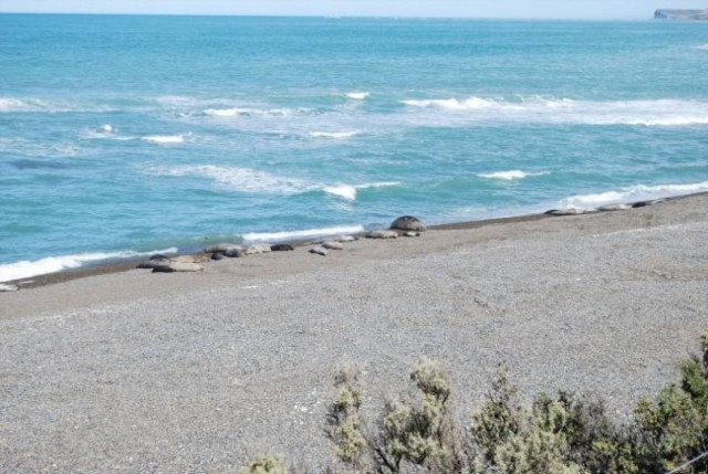 Πνίγηκε ενώ σκόρπιζε την τέφρα της γυναίκας του στη θάλασσα