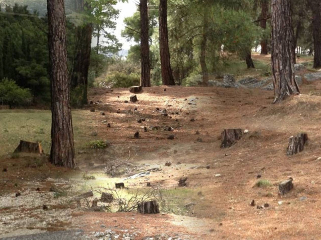 Εθνικό και περιβαλλοντικό έγκλημα στις Σέρρες