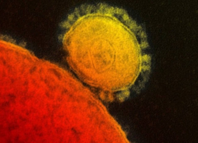 ΠΟΥ: Στους 30 οι νεκροί από το νέο κοροναϊό