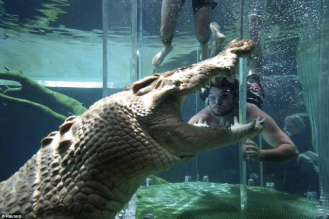 Το κλουβί του θανάτου (pics)