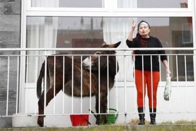 Αστυνομικοί κλήθηκαν να απομακρύνουν μία ...