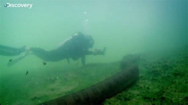 Θα το επιχειρούσες: Κολυμπώντας με ένα ανακόντα! (βίντεο)