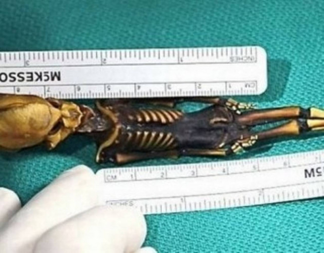 Τι έδειξε η εξέταση του DNA για τον εξωγήινο της Atacama