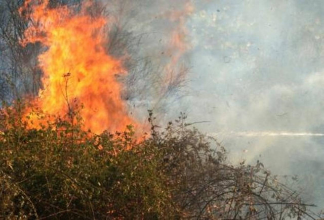Κάνουν απολογισμό των πυρκαγιών στην Κρήτη