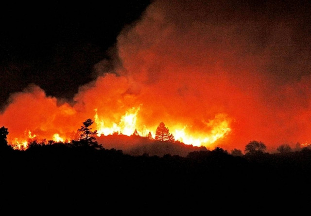 Φωτιά σε δασική έκταση στο Ανήλιο Πηλίου