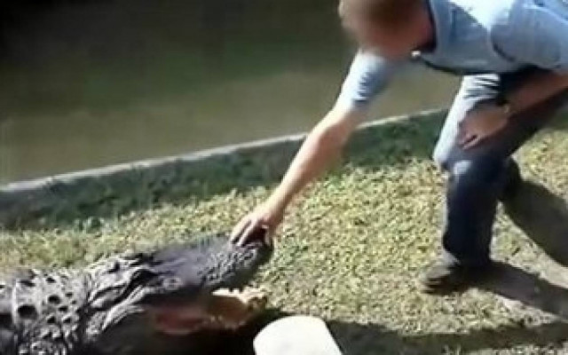 Βίντεο: Πλήρωσε ακριβά τα... παιχνίδια με τον κροκόδειλο!