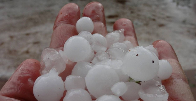 Τρίπολη: Κλιμάκιο του ΕΛΓΑ καταγράφει τις ζημιές από τη χαλαζόπτωση