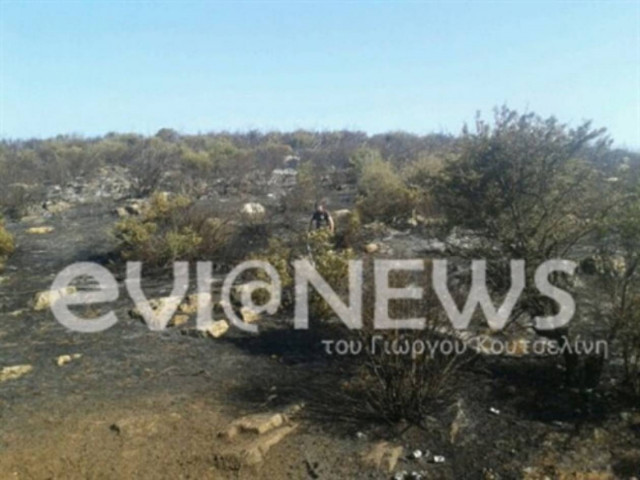 Εύβοια: Είδαν την φωτιά έξω από τα σπίτια τους