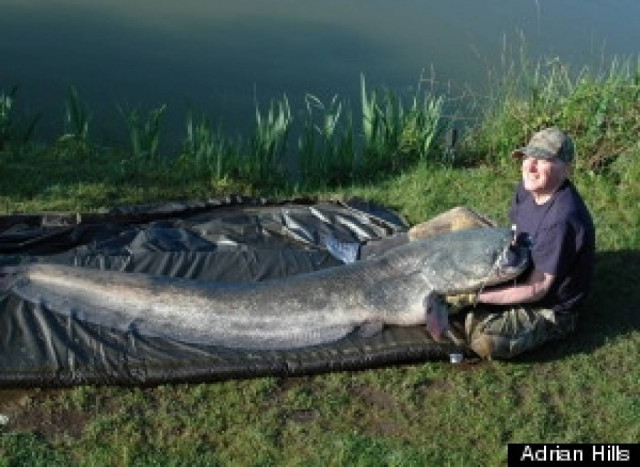 Έπαθε την πλάκα της ζωής του με αυτό που ψάρεψε! (pics)