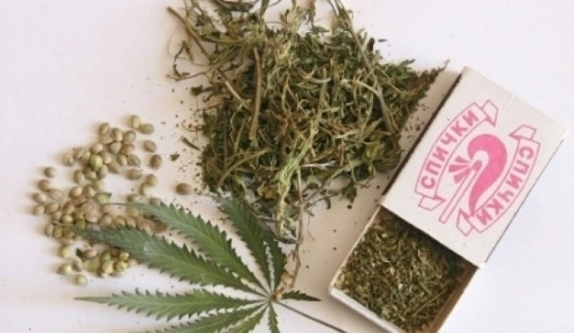 ΗΠΑ: Θα πωλείται ελεύθερα η μαριχουάνα