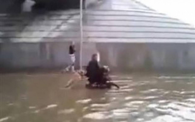 Βίντεο: Σκύλος σπρώχνει αναπηρικό καροτσάκι