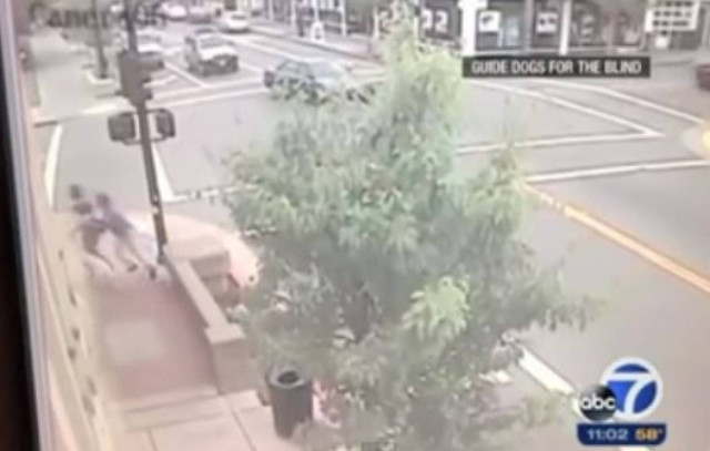 Συγκλονιστικό: Σκύλος έσωσε τους εκπαιδευτές του από βέβαιο θάνατο