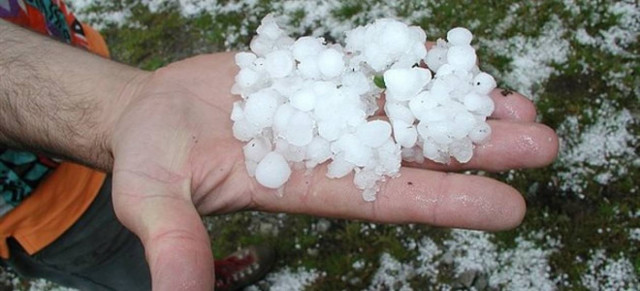 Δήμος Τρικκαίων: Ζημιές σε 20.000 στρέμματα από το χαλάζι