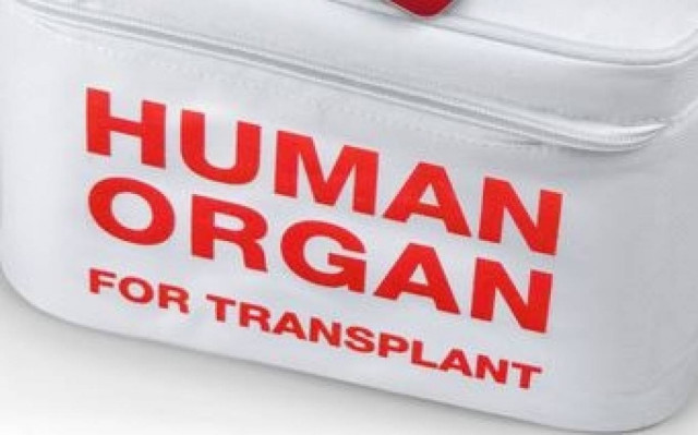 Τιμοκατάλογος ανθρωπίνων  οργάνων στη Βουλή