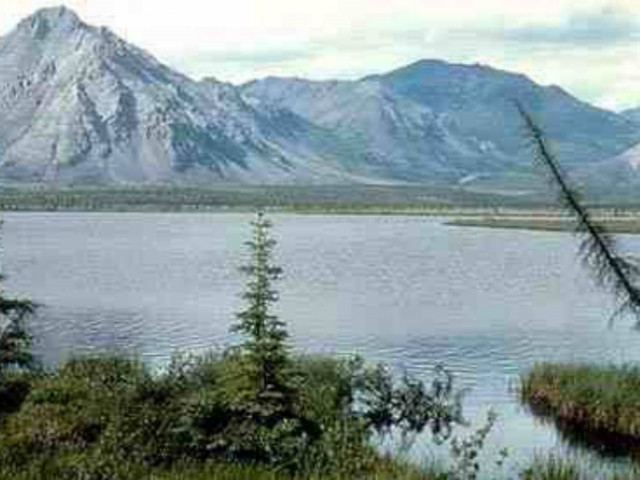 Πρωτοφανές «κύμα» καύσωνα στην Αλάσκα