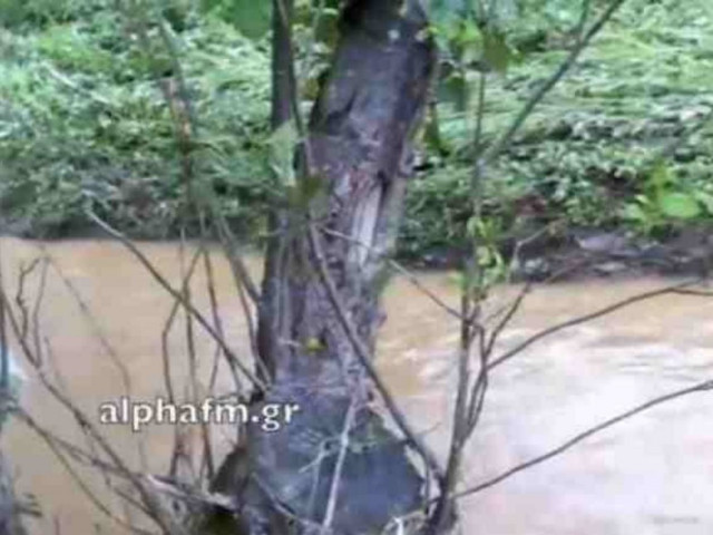 Βίντεο: Υγειονομικός συναγερμός στην Καστοριά