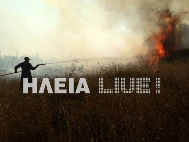 Νέα πυρκαγιά στον Πύργο (pics)