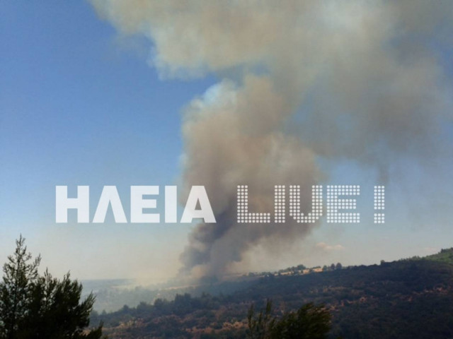 Πύρινη κόλαση στην Ηλεία-Τρεις πυρκαγιές μέσα σε λίγα λεπτά (pics)