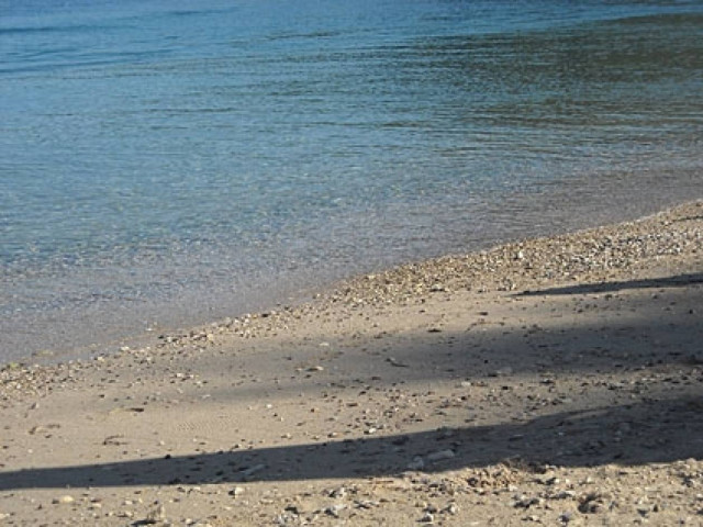 Χαλκίδα: «Πάγωσαν» με αυτό που είδαν στην παραλία (pics)