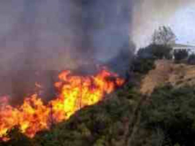 «Στάχτη» 5.000 στρέμματα στην Εύβοια