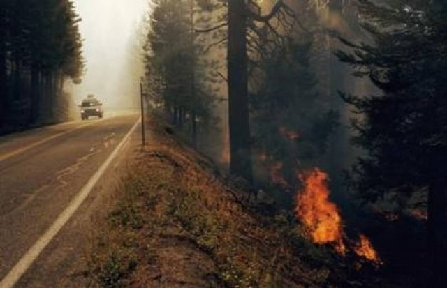 Επιτροπή Περιβάλλοντος: Παραδειγματική τιμωρία για τους εμπρηστές