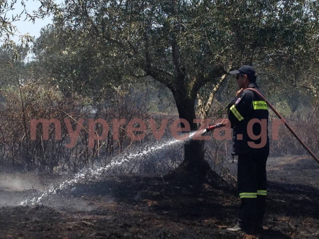 Φωτιά στην Πρέβεζα