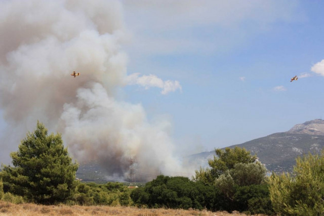 ΤΩΡΑ: Φωτιά στους Θρακομακεδόνες