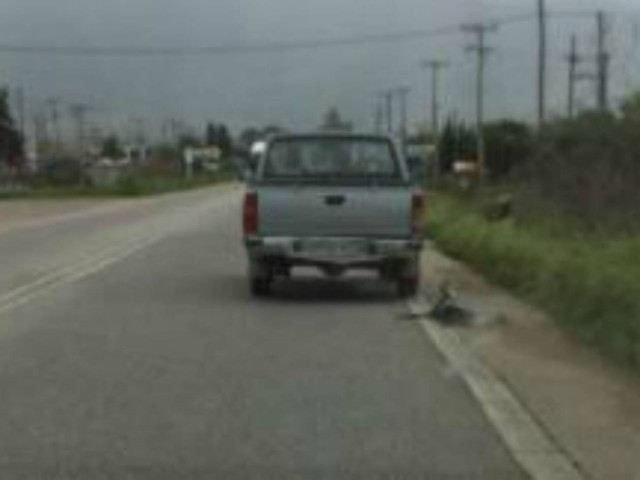 ΣΟΚ στον Πύργο: Έσερνε δεμένο στο αυτοκίνητο το σκύλο του