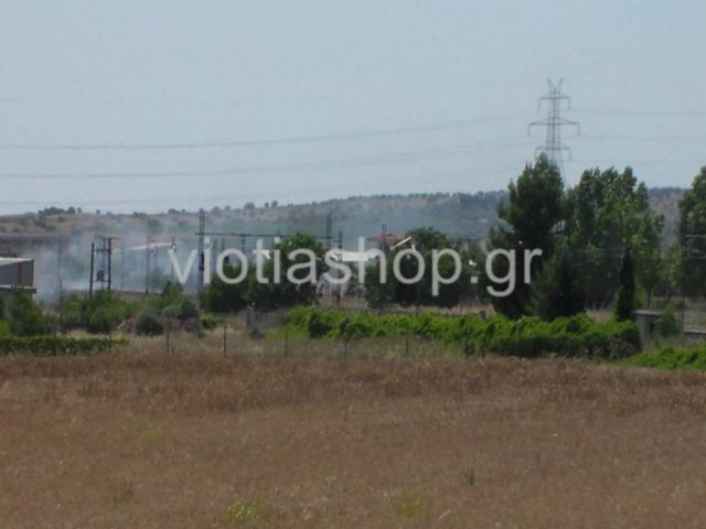 Μικρής έκτασης φωτιά στη Θήβα (pics)