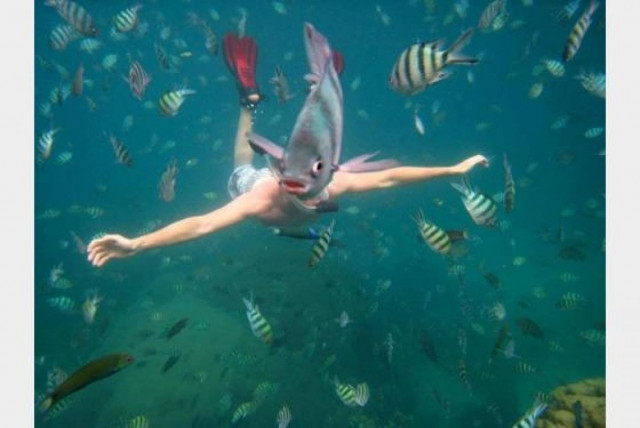 Απρόσκλητοι εισβολείς σε...αναμνηστικές φωτογραφίες (pics)