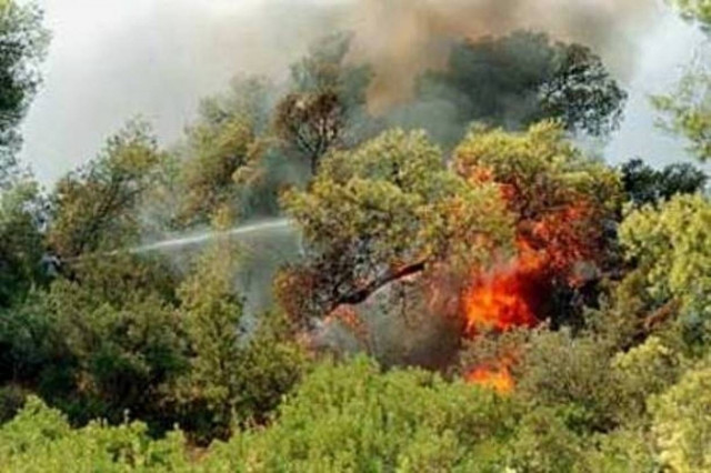 Σε εξέλιξη πυρκαγιά στο Κορωπί