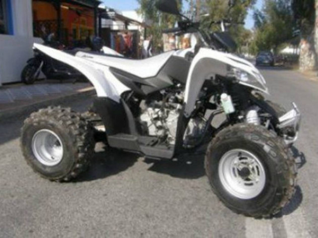 Δίχως τέλος τα τροχαία με γουρούνες στους δρόμους της Κρήτης