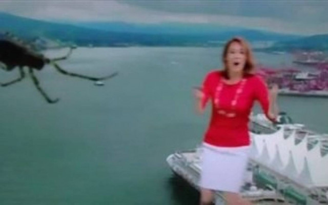 Βίντεο: Μια... αράχνη προκαλεί αναστάτωση σε ζωντανή εκπομπή