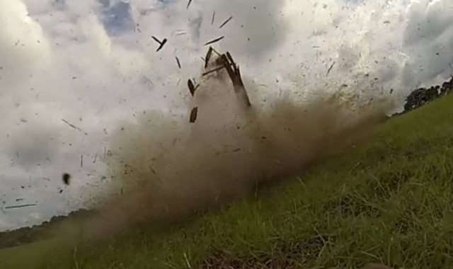 Μπορείτε να εντοπίσετε την πεταλούδα; (βίντεο)