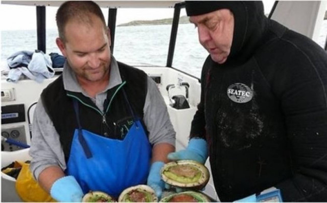 Μια από τις ακριβότερες και... πιο επικίνδυνες τροφές του κόσμου